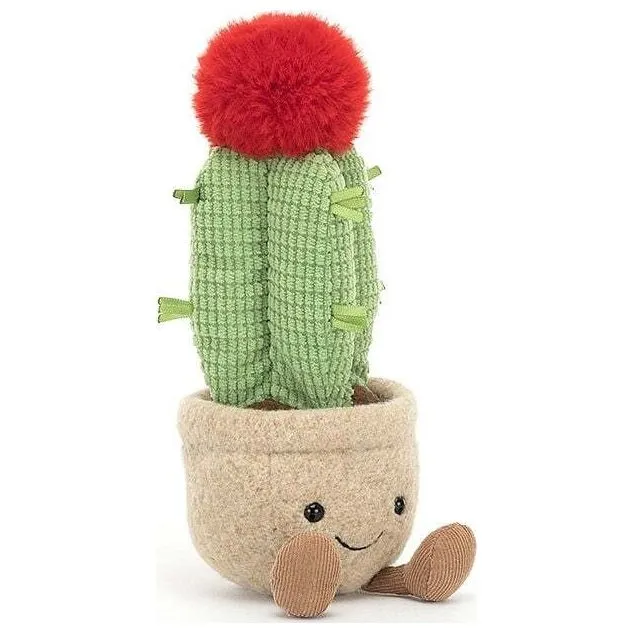 Amuseable Moon Cactus