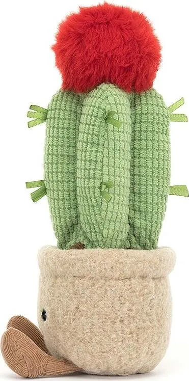 Amuseable Moon Cactus