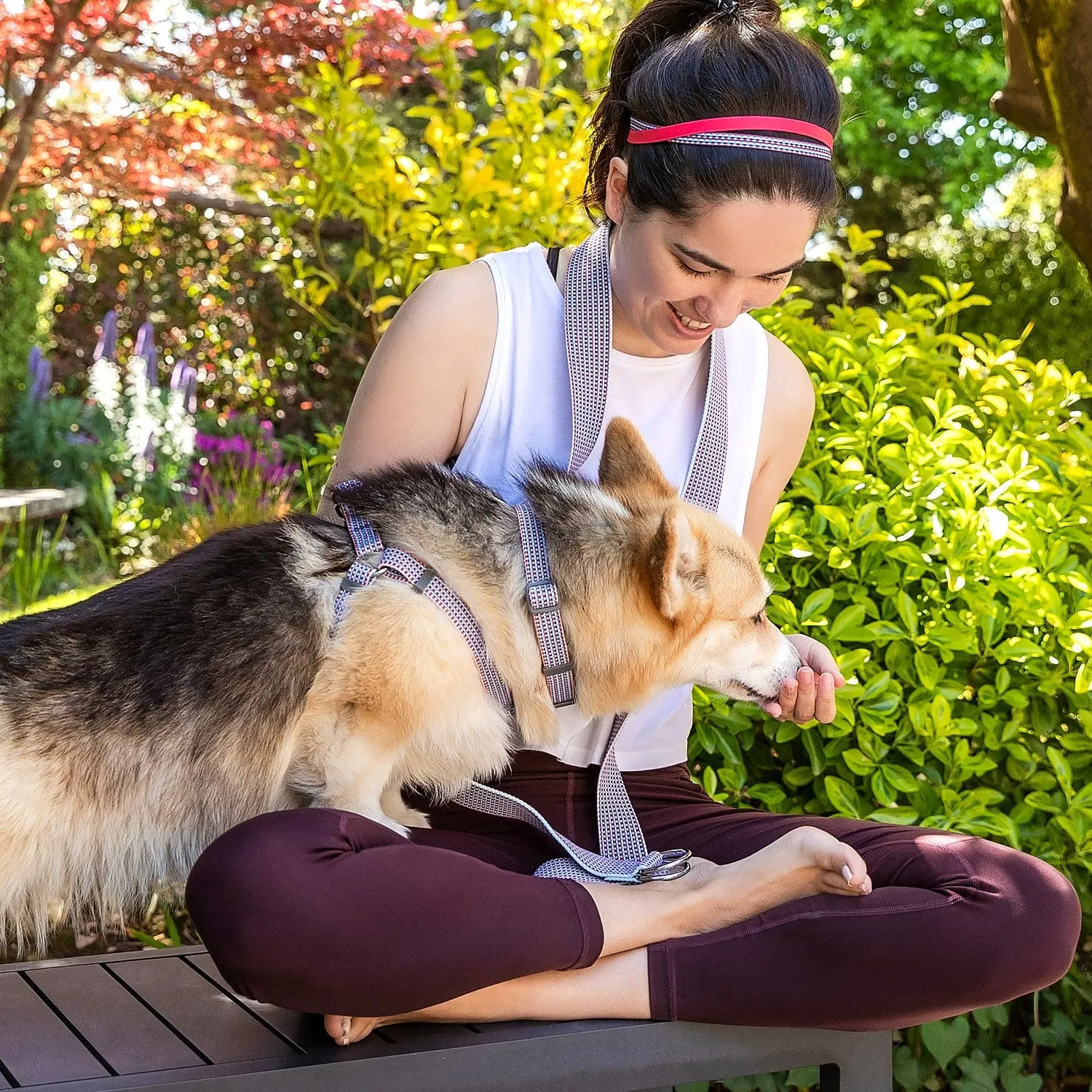 Multicolor Braids Dog Harness