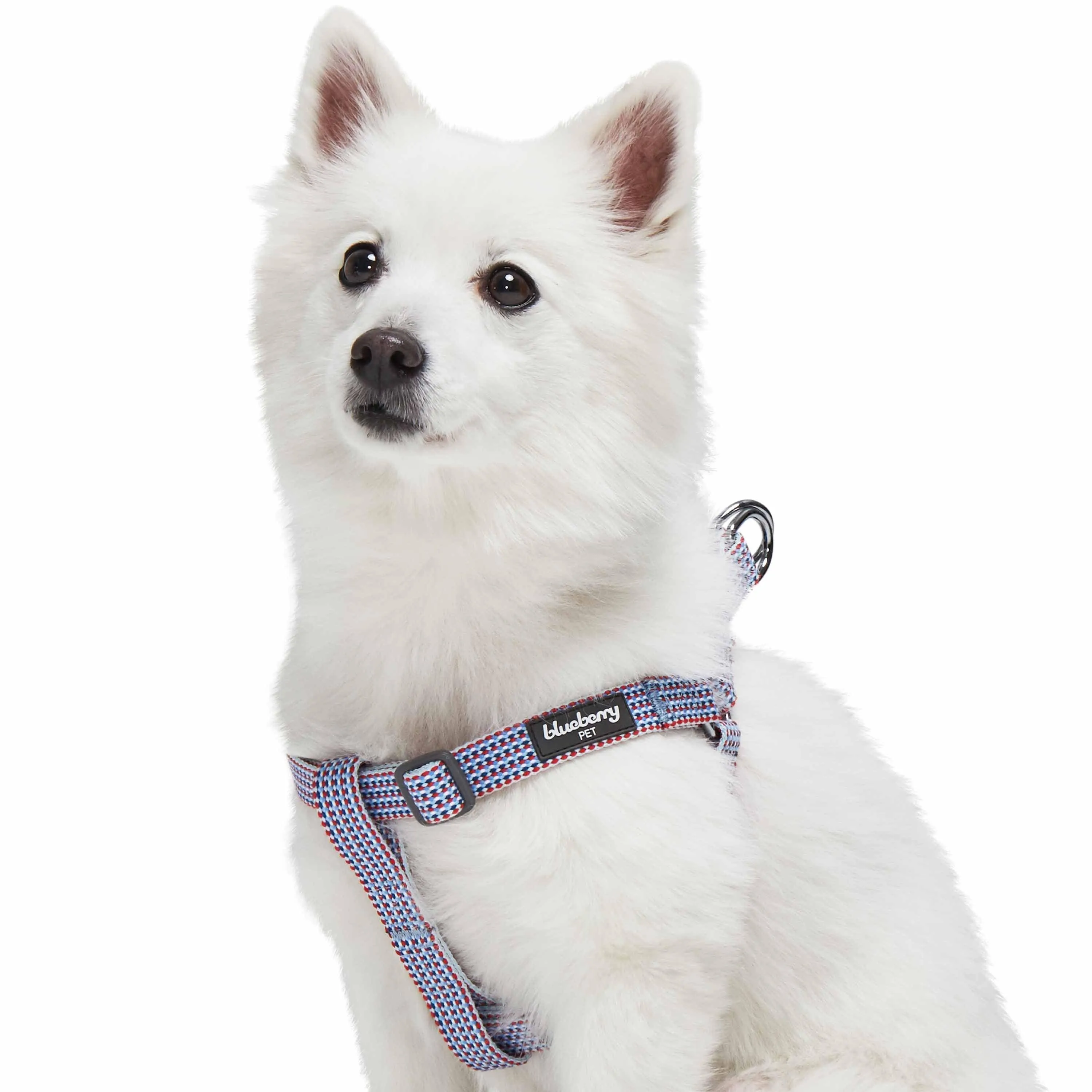 Multicolor Braids Dog Harness