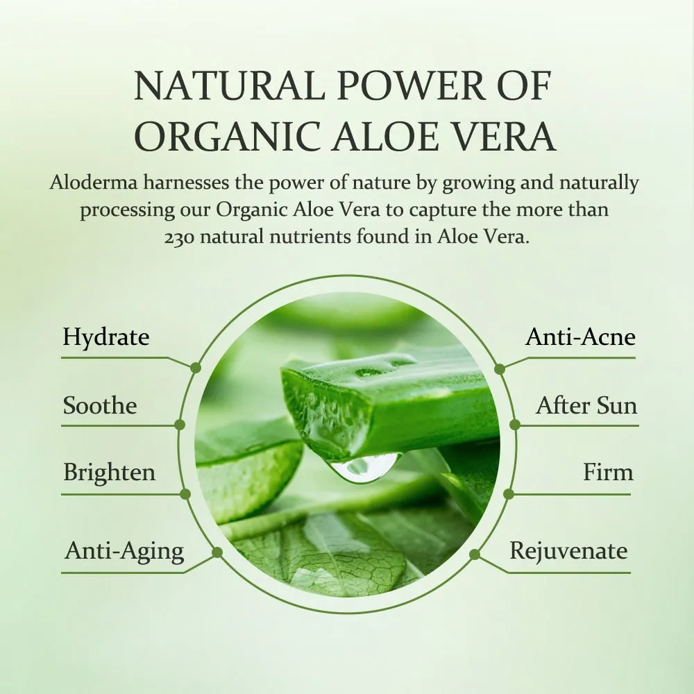 Pure Aloe Vera Gel   Tea Tree Oil